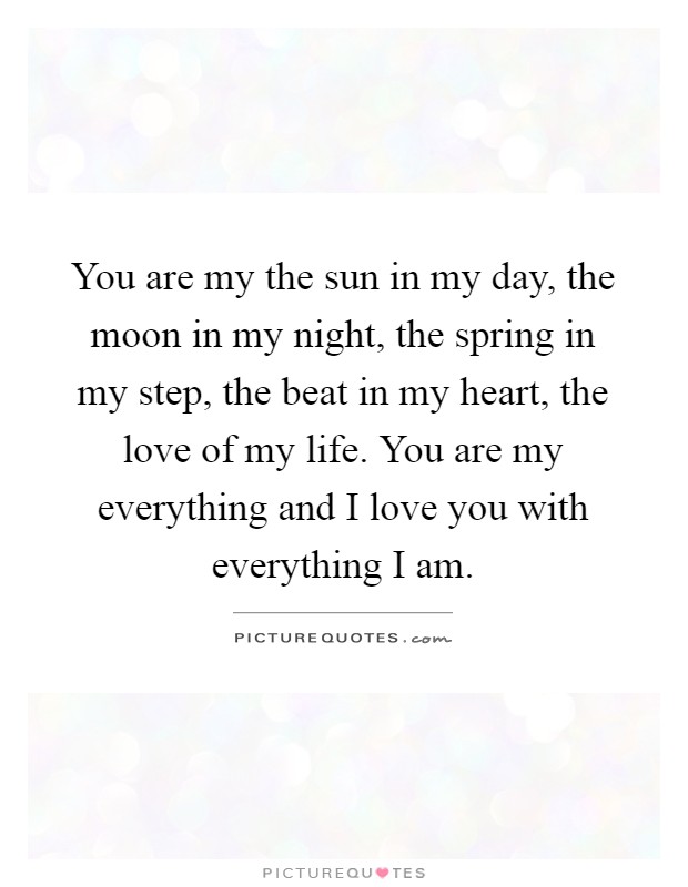 You are my the sun in my day, the moon in my night, the spring in my step, the beat in my heart, the love of my life. You are my everything and I love you with everything I am Picture Quote #1