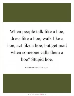 When people talk like a hoe, dress like a hoe, walk like a hoe, act like a hoe, but get mad when someone calls them a hoe? Stupid hoe Picture Quote #1