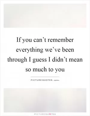 If you can’t remember everything we’ve been through I guess I didn’t mean so much to you Picture Quote #1