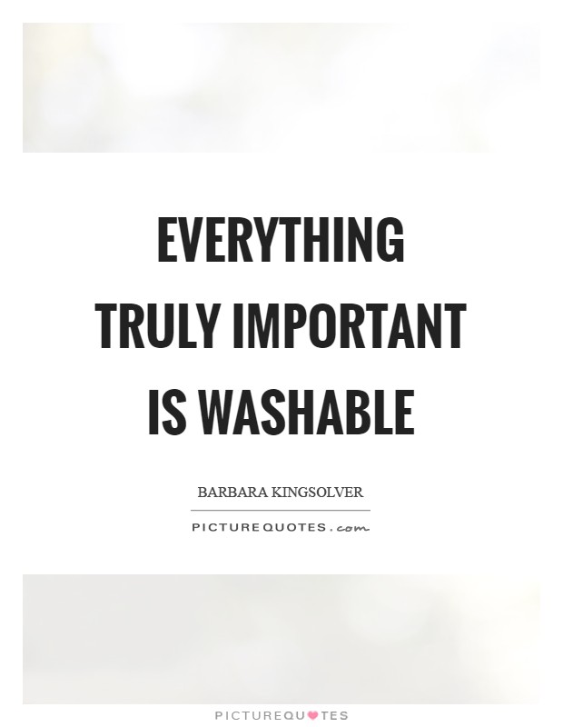 Everything truly important is washable Picture Quote #1