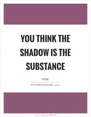 You think the shadow is the substance Picture Quote #1