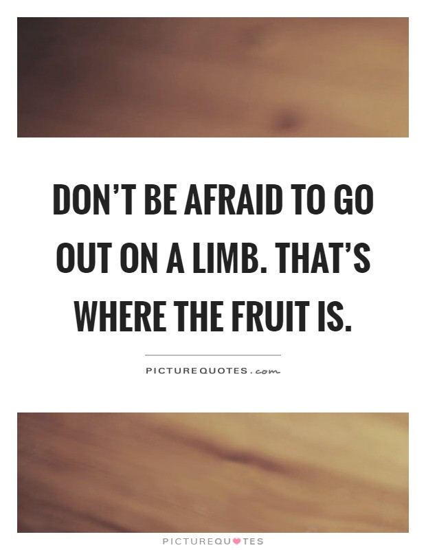 Don't be afraid to go out on a limb. That's where the fruit is Picture Quote #1