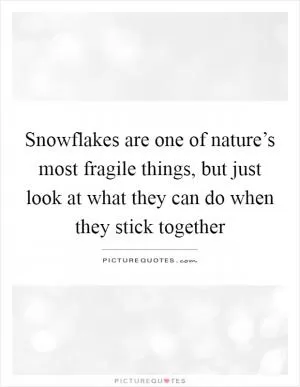Snowflakes are one of nature’s most fragile things, but just look at what they can do when they stick together Picture Quote #1