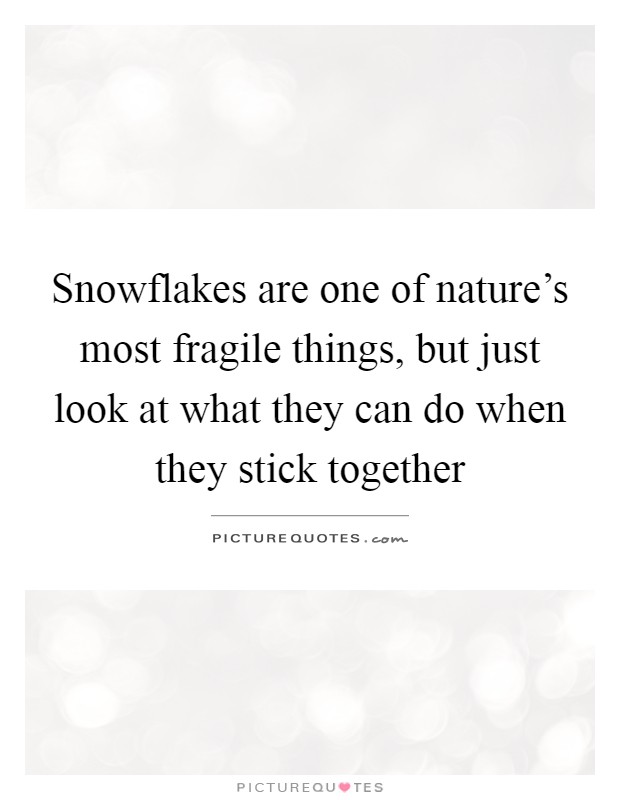 Snowflakes are one of nature's most fragile things, but just look at what they can do when they stick together Picture Quote #1