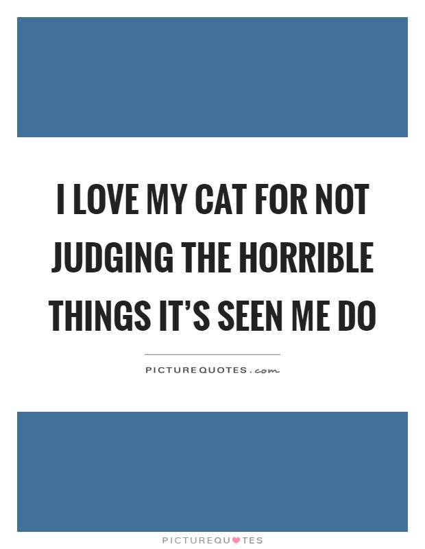I love my cat for not judging the horrible things it's seen me do Picture Quote #1