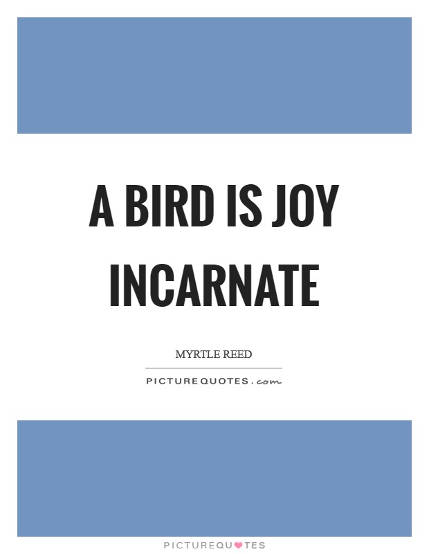 A bird is joy incarnate Picture Quote #1