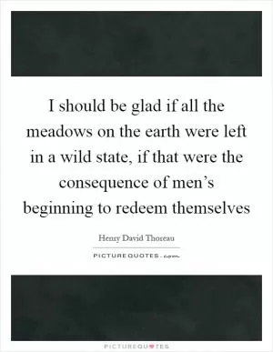 I should be glad if all the meadows on the earth were left in a wild state, if that were the consequence of men’s beginning to redeem themselves Picture Quote #1