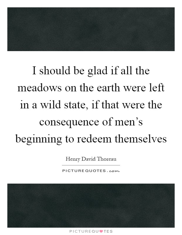 I should be glad if all the meadows on the earth were left in a wild state, if that were the consequence of men's beginning to redeem themselves Picture Quote #1