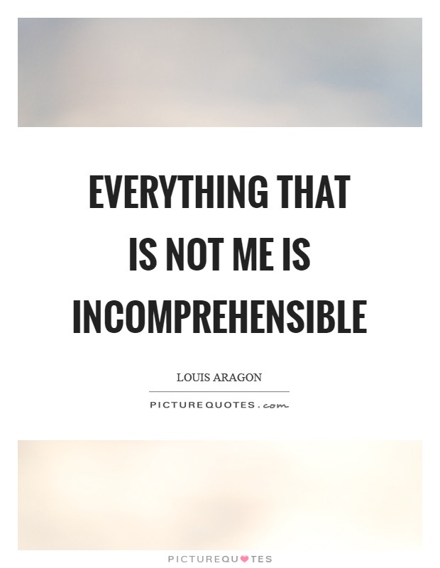 Everything that is not me is incomprehensible Picture Quote #1