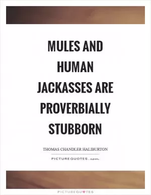 Mules and human jackasses are proverbially stubborn Picture Quote #1