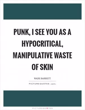 Punk, I see you as a hypocritical, manipulative waste of skin Picture Quote #1