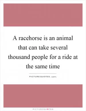 A racehorse is an animal that can take several thousand people for a ride at the same time Picture Quote #1