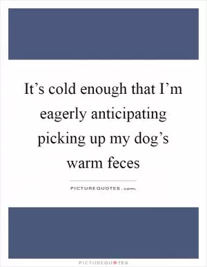It’s cold enough that I’m eagerly anticipating picking up my dog’s warm feces Picture Quote #1