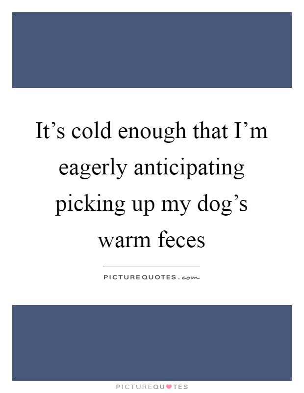 It's cold enough that I'm eagerly anticipating picking up my dog's warm feces Picture Quote #1