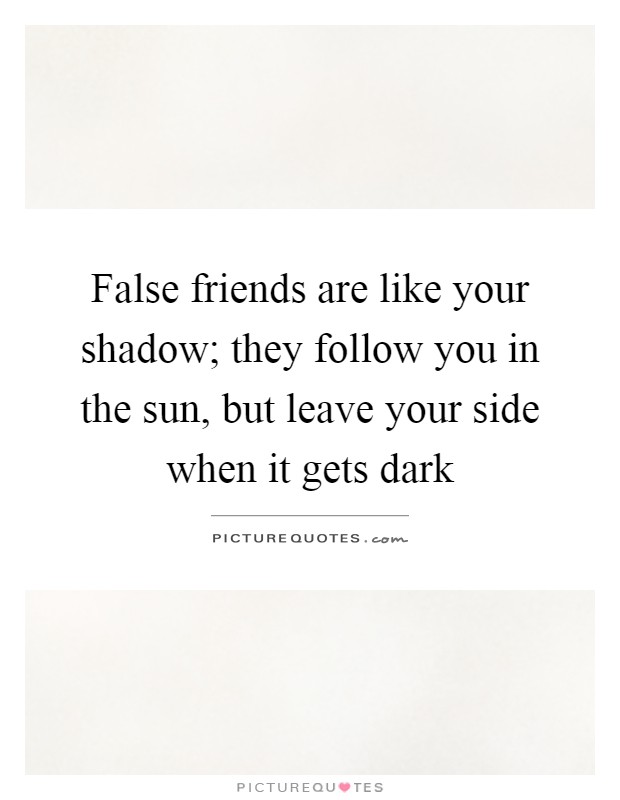 False friends are like your shadow; they follow you in the sun, but leave your side when it gets dark Picture Quote #1