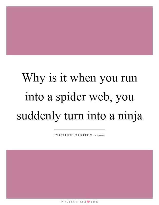 Why is it when you run into a spider web, you suddenly turn into a ninja Picture Quote #1