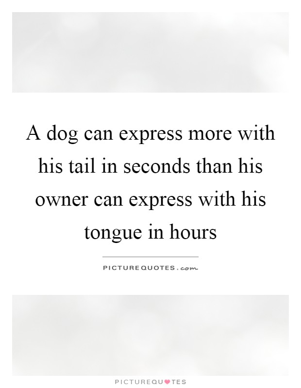 A dog can express more with his tail in seconds than his owner can express with his tongue in hours Picture Quote #1