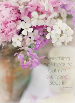 Everything has beauty, but not everyone sees it Picture Quote #1