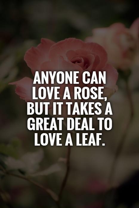 Anyone can love a rose, but it takes a great deal to love a leaf Picture Quote #1