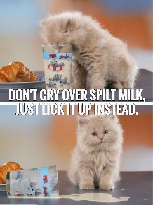 Don't cry over spilt milk, just lick it up instead Picture Quote #2