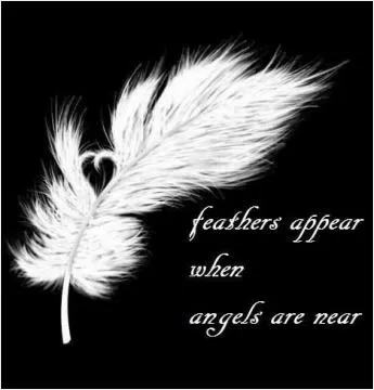 Feathers appear when angels are near Picture Quote #1