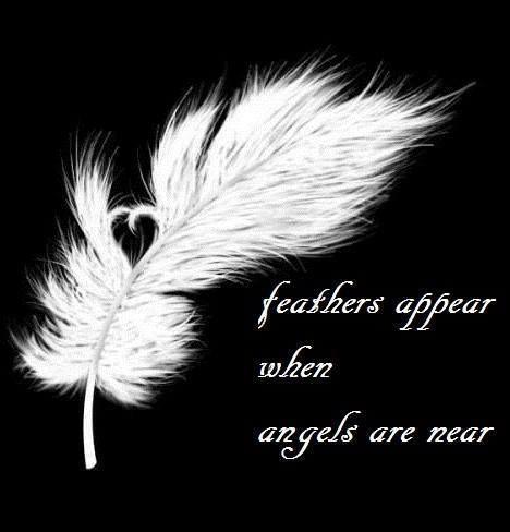 Feathers appear when angels are near Picture Quote #1