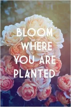 Bloom where you are planted Picture Quote #1