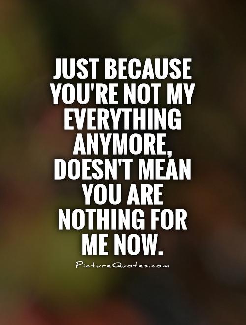 Just because you're not my everything anymore, doesn't mean you are nothing for me now Picture Quote #1