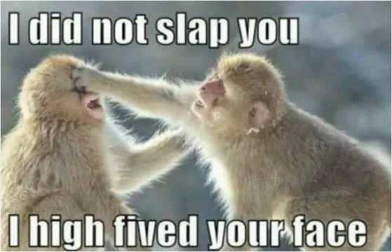 I did not slap you, I high fived your face Picture Quote #1