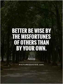 Better be wise by the misfortunes of others than by your own Picture Quote #1