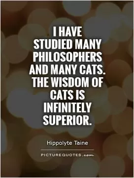 I have  studied many philosophers  and many cats.  The wisdom of  cats is  infinitely superior Picture Quote #1