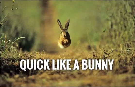 Quick like a bunny Picture Quote #1