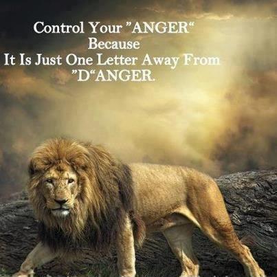 Control your anger because it is just one letter away from danger Picture Quote #1