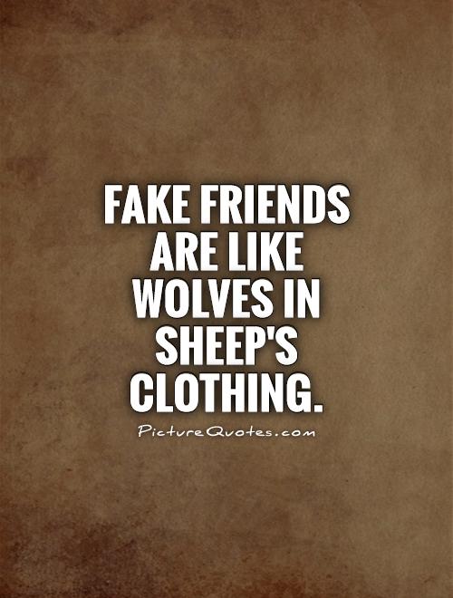 Fake friends are like Wolves in Sheep's Clothing Picture Quote #1