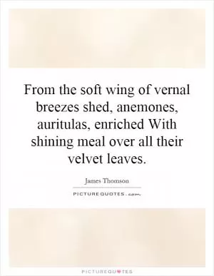 From the soft wing of vernal breezes shed, anemones, auritulas, enriched With shining meal over all their velvet leaves Picture Quote #1