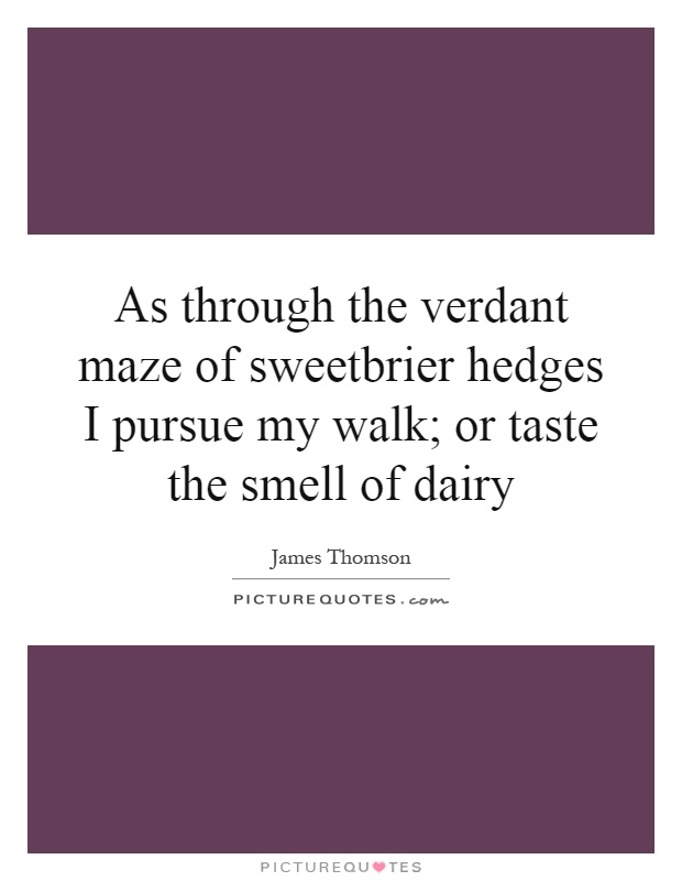 As through the verdant maze of sweetbrier hedges I pursue my walk; or taste the smell of dairy Picture Quote #1