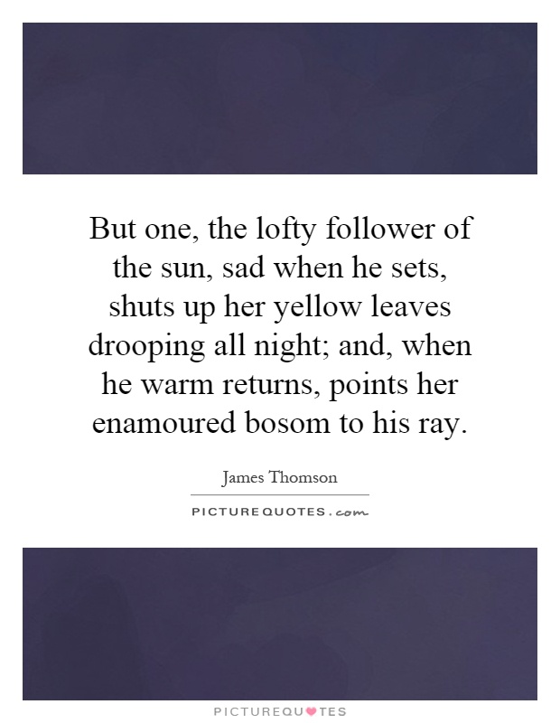 But one, the lofty follower of the sun, sad when he sets, shuts up her yellow leaves drooping all night; and, when he warm returns, points her enamoured bosom to his ray Picture Quote #1