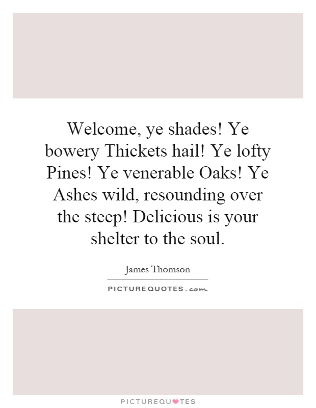Welcome, ye shades! Ye bowery Thickets hail! Ye lofty Pines! Ye venerable Oaks! Ye Ashes wild, resounding over the steep! Delicious is your shelter to the soul Picture Quote #1