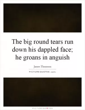 The big round tears run down his dappled face; he groans in anguish Picture Quote #1