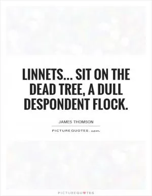 Linnets... Sit On the dead tree, a dull despondent flock Picture Quote #1