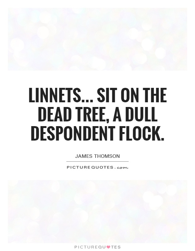 Linnets... Sit On the dead tree, a dull despondent flock Picture Quote #1