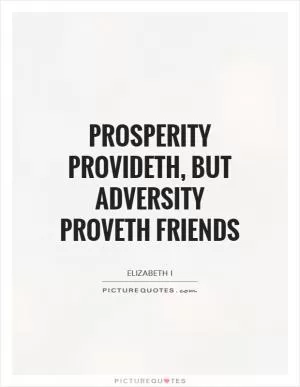 Prosperity provideth, but adversity proveth friends Picture Quote #1