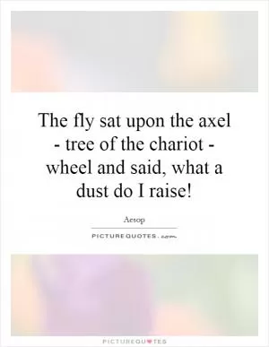 The fly sat upon the axel - tree of the chariot - wheel and said, what a dust do I raise! Picture Quote #1