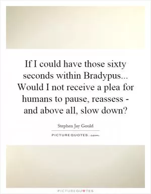 If I could have those sixty seconds within Bradypus... Would I not receive a plea for humans to pause, reassess - and above all, slow down? Picture Quote #1