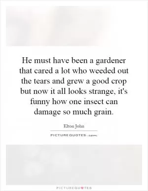 He must have been a gardener that cared a lot who weeded out the tears and grew a good crop but now it all looks strange, it's funny how one insect can damage so much grain Picture Quote #1