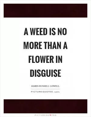 A weed is no more than a flower in disguise Picture Quote #1