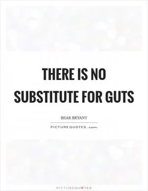 There is no substitute for guts Picture Quote #1