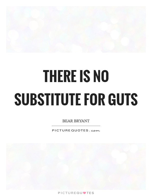 There is no substitute for guts Picture Quote #1