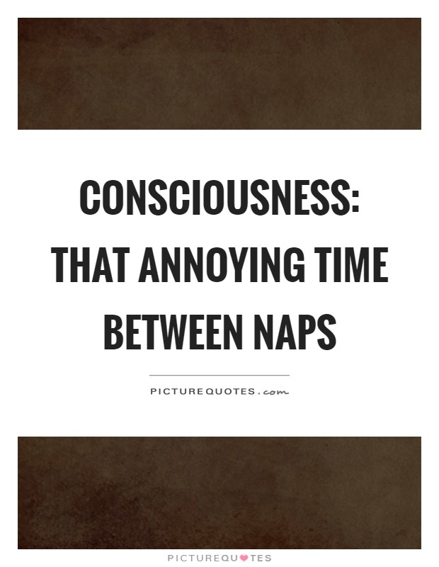 Consciousness: that annoying time between naps Picture Quote #1