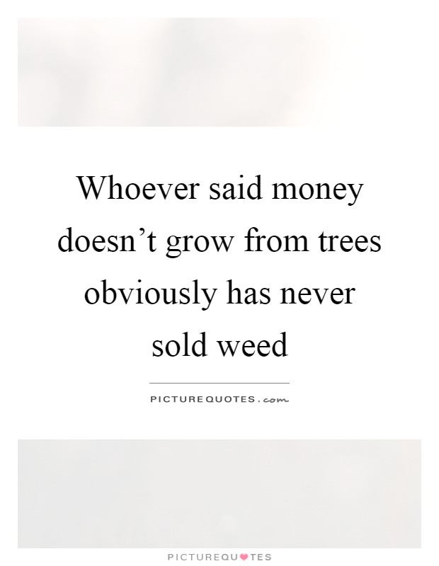 Whoever said money doesn't grow from trees obviously has never sold weed Picture Quote #1